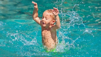 La intensa actividad acuática de