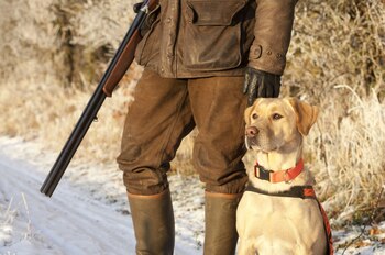 Animales entrenados para deportes con