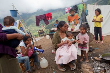 La pobreza afecta a 175