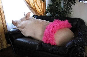 Esther ha resultado inspiración para