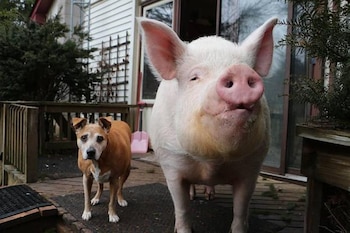 En las afueras de su