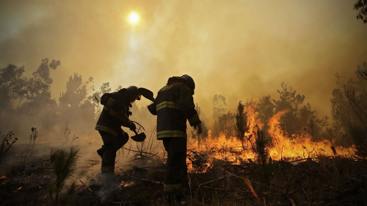 Las imágenes más dramáticas de los incendios forestales en Chile - Infobae