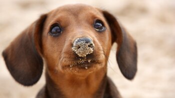 Después del día de playa