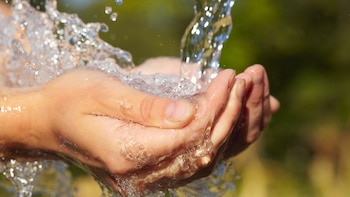 El cambio en la piel