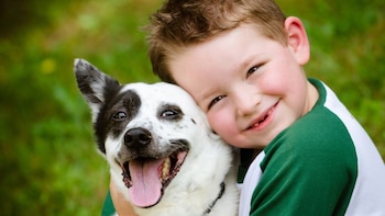 La unión de un infante con un perro puede ser más fuerte que con un hermano (iStock)