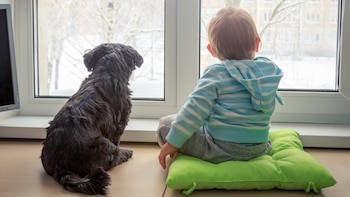 Niños y niñas a muy temprana edad se ven beneficiados al crecer con una mascota (iStock)