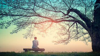 Científicos están tratando de comprender