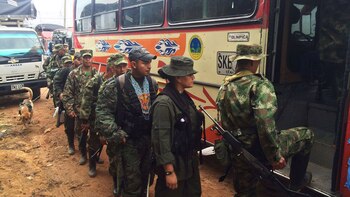 Guerrilleros de las FARC desmovilizados