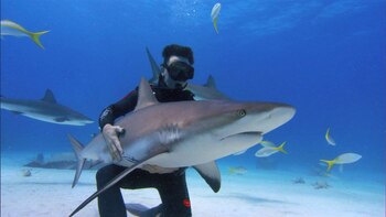 Stewart está siendo buscado por