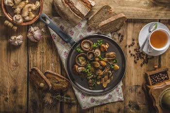 Los hongos son una gran