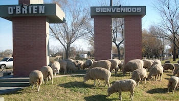 El pueblo tiene unos 2.500