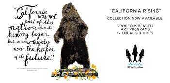 El oso anti-Trump, con el