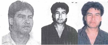 “Potrillo” Maidana.