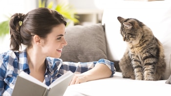 Estudios afirman que tener una