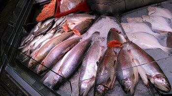 En 2016, una granja de