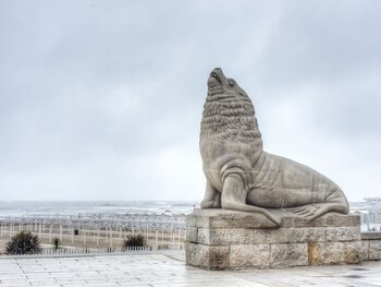 A Fernando se lo vio