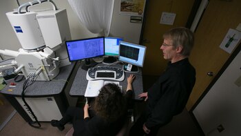 El Dr Giulio Tononi y