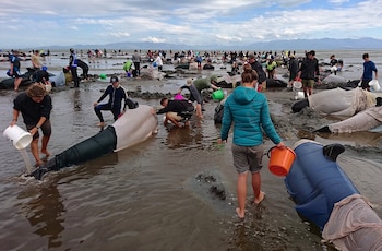 Cientos de personas intentaron salvar