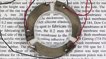 Los lentes son a partir