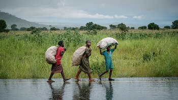 Los niños deben caminar 10