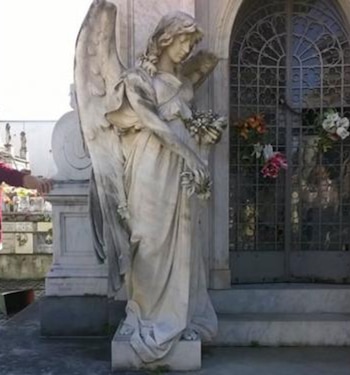 La fotografía fue tomada por