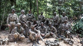 Los soldados de la Household