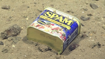 Una caja de Spam encontrada