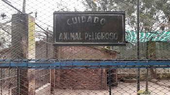 “Hasta que la última jaula