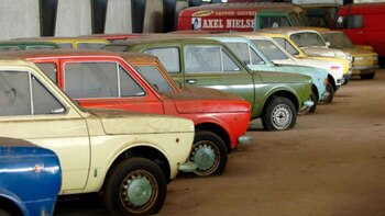 Hallaron autos y camiones Fiat