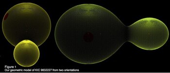 El modelo del profesor Molnar