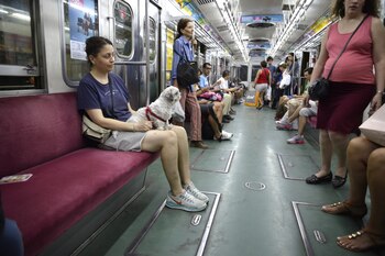 Cualquier persona mayor podrá trasladar