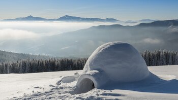 Más de cuatro millones de