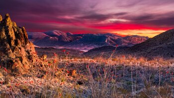 El Parque Nacional Big Bend,