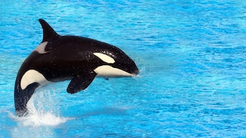 Comenzó una de las mejores