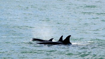 El ingreso al área natural