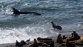 Es uno de los fenómenos
