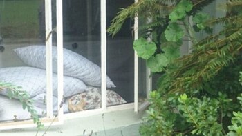 La ventana por donde entraron