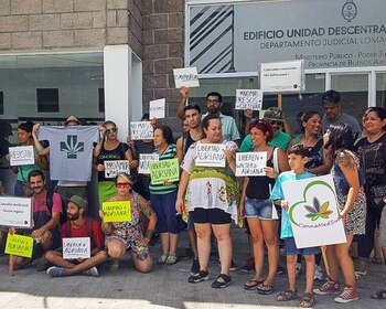 Activistas pro cannabis, esta mañana