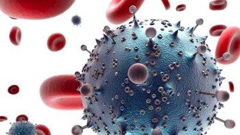 La estrategia médica que se