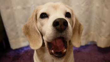 Revoluciona las redes sociales y