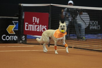Es la segunda ocasión en