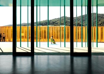 Las paredes y techos de