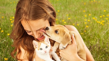 Tanto los mecanismos cerebrales de