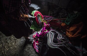 Los chamanes pueden comunicarse con