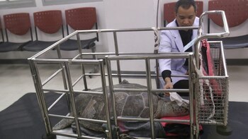 Om Sin había sido sometida