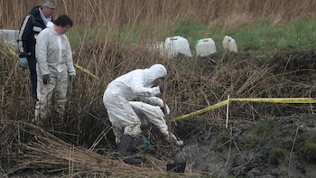 Los peritos buscan restos de