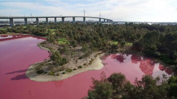 El fenómeno ocurre todos los