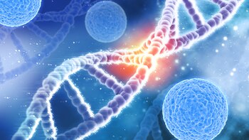 La cura se encuentra en