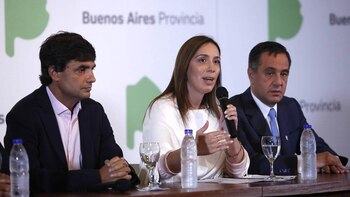 Buenos Aires concentra el 45%