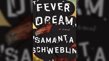 Cubierta de la novela de